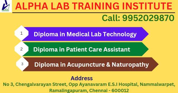 Alpha free medical internship courses are designed for especially keeping in mind freshers.  Beginners can let your medical dream full fil.