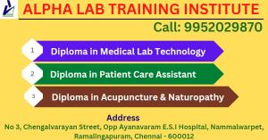 Alpha free medical internship courses are designed for especially keeping in mind freshers.  Beginne