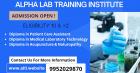 Alpha free medical internship courses are designed for especially keeping in mind beginners. Fresher