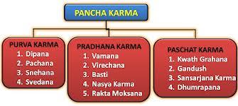 Best Panchkarma Center in Himachal Pradesh