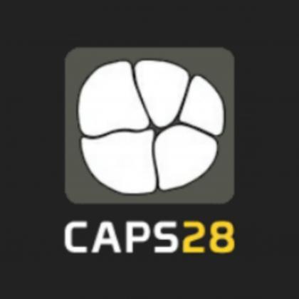 Caps28