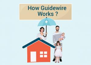 Guidewire Development Services in USA, Guidewire Development Services India, Guidewire Certification