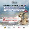 Dolphin Education Consultancy: Your Gateway to UK Student Visas and Education